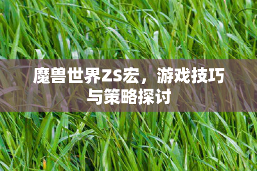 游戏技巧与策略探讨图片