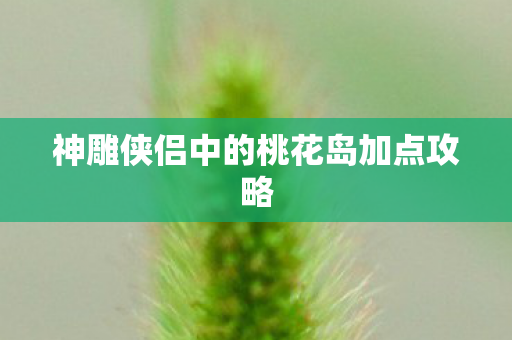 神雕侠侣中的桃花岛加点攻略图片