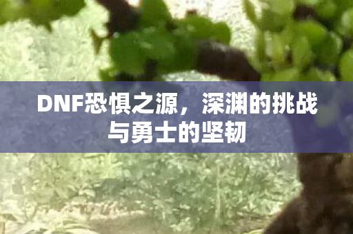 深渊的挑战与勇士的坚韧图片