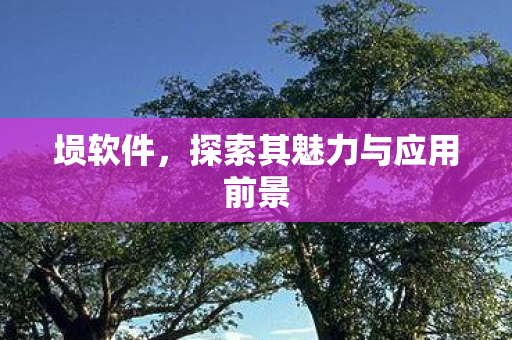 探索其魅力与应用前景图片