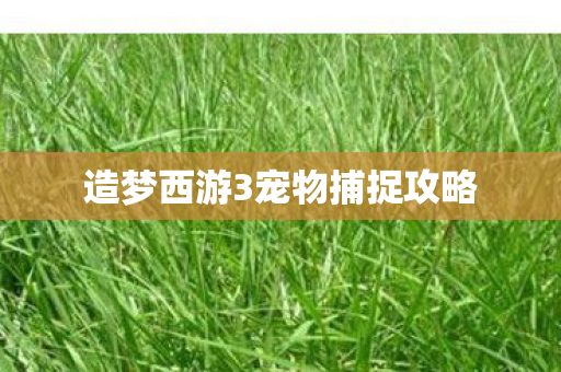 造梦西游3宠物捕捉攻略图片