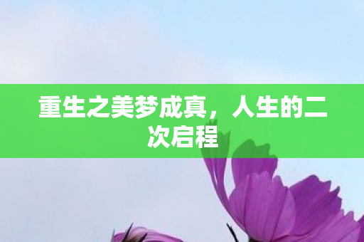 重生之美梦成真图片