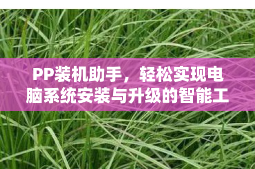 轻松实现电脑系统安装与升级的智能工具图片