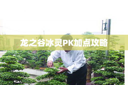 龙之谷冰灵PK加点攻略图片