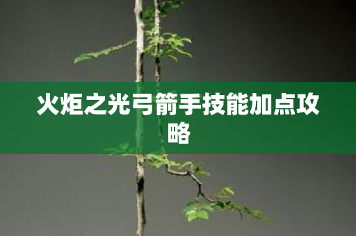 火炬之光弓箭手技能加点攻略图片