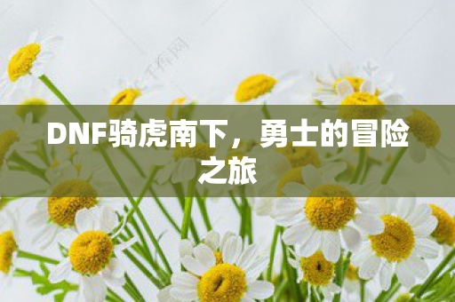 DNF骑虎南下图片