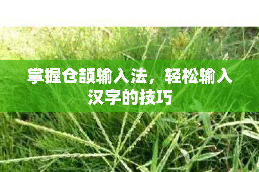 轻松输入汉字的技巧图片