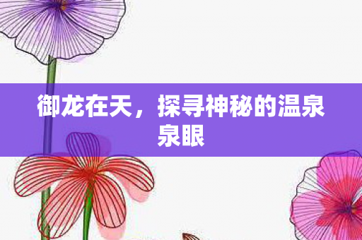 探寻神秘的温泉泉眼图片