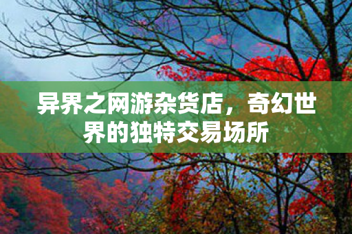 奇幻世界的独特交易场所图片