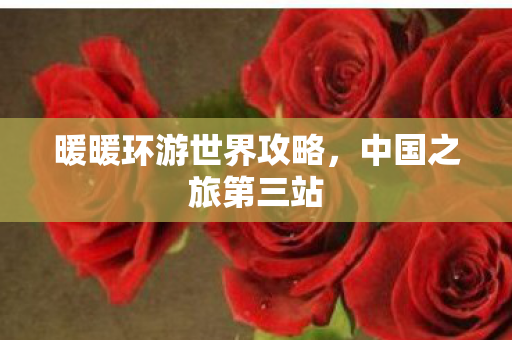 暖暖环游世界攻略图片
