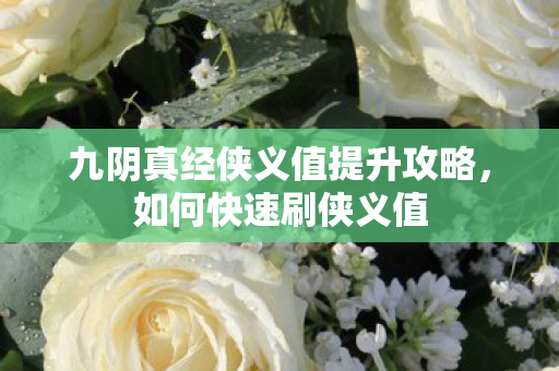 九阴真经侠义值提升攻略图片