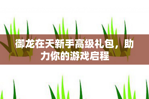御龙在天新手高级礼包图片