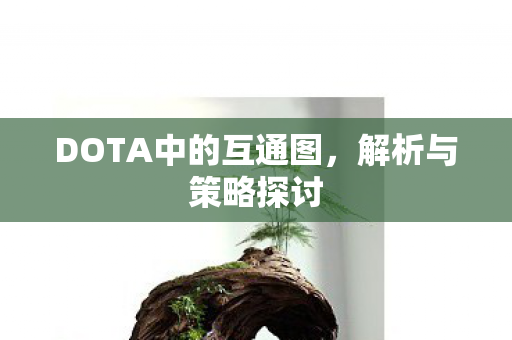 DOTA中的互通图图片