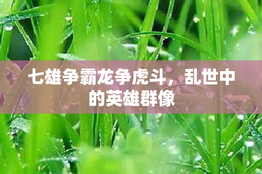 七雄争霸龙争虎斗图片
