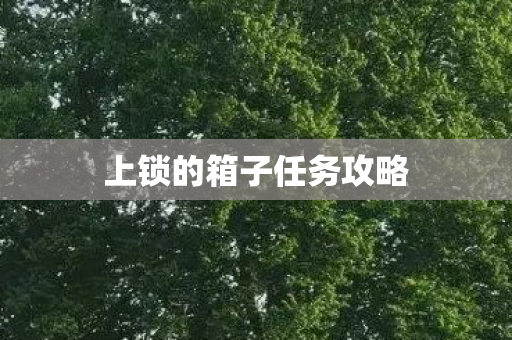 上锁的箱子任务攻略图片