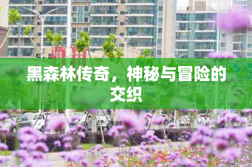 神秘与冒险的交织图片