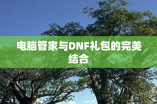 电脑管家与DNF礼包的完美结合图片