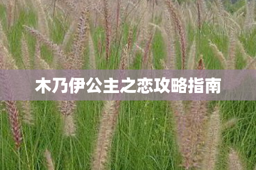 木乃伊公主之恋攻略指南图片