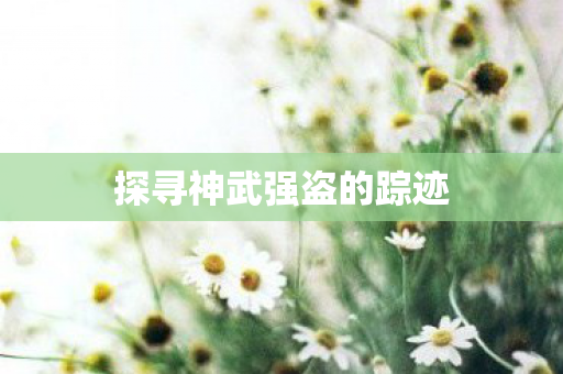 探寻神武强盗的踪迹图片