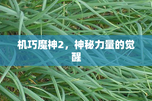 神秘力量的觉醒图片