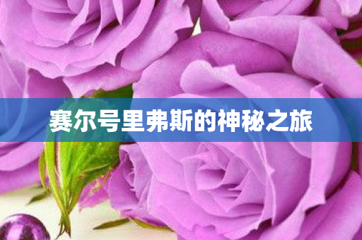 赛尔号里弗斯的神秘之旅图片