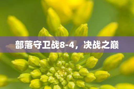 部落守卫战8图片