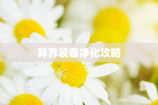 异界装备净化攻略图片