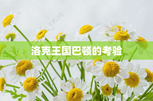 洛克王国巴顿的考验图片