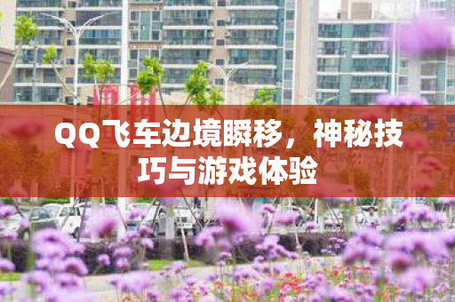神秘技巧与游戏体验图片