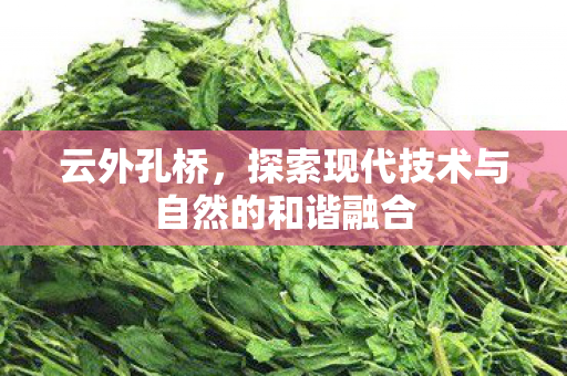 探索现代技术与自然的和谐融合图片