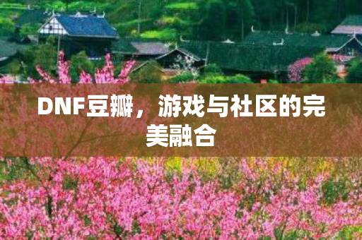 游戏与社区的完美融合图片
