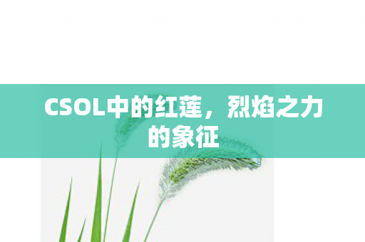 CSOL中的红莲图片