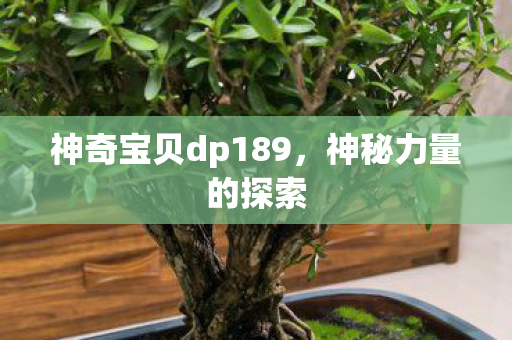 神奇宝贝dp189图片