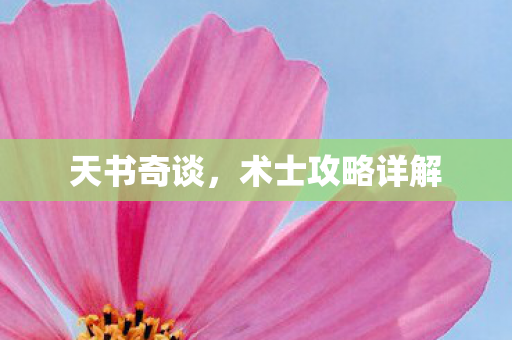 术士攻略详解图片