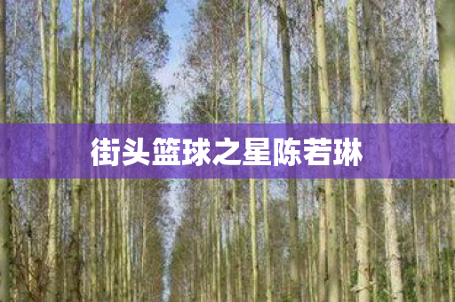 街头篮球之星陈若琳图片