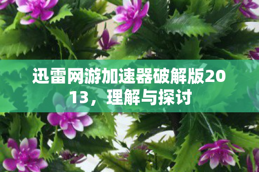 迅雷网游加速器破解版2013图片