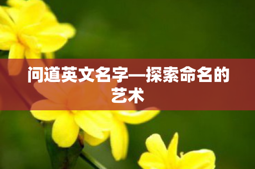 探索命名的艺术图片