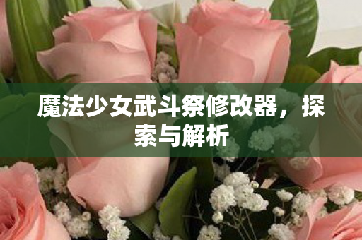 魔法少女武斗祭修改器图片