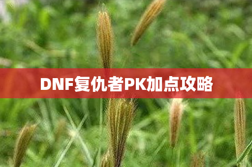 DNF复仇者PK加点攻略图片