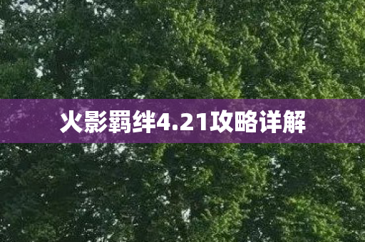 21攻略详解图片
