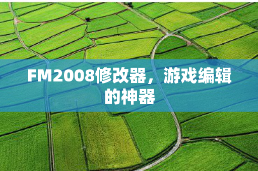 FM2008修改器图片