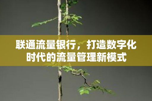 打造数字化时代的流量管理新模式图片