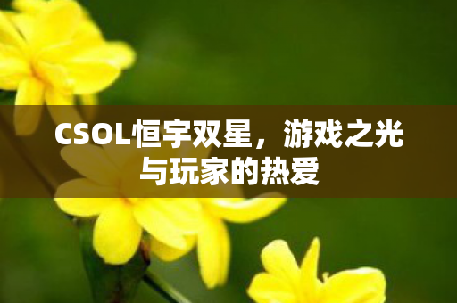 游戏之光与玩家的热爱图片
