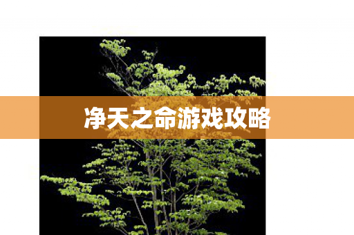净天之命游戏攻略图片