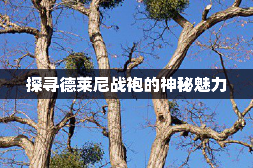 探寻德莱尼战袍的神秘魅力图片