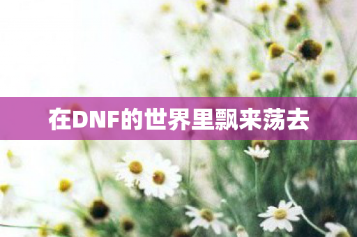 在DNF的世界里飘来荡去图片