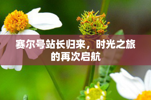 时光之旅的再次启航图片