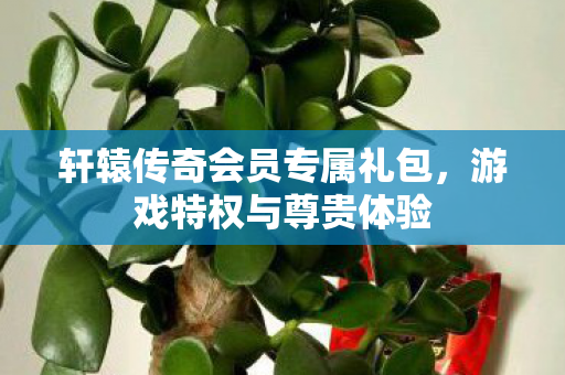 轩辕传奇会员专属礼包图片