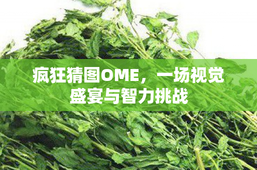 一场视觉盛宴与智力挑战图片