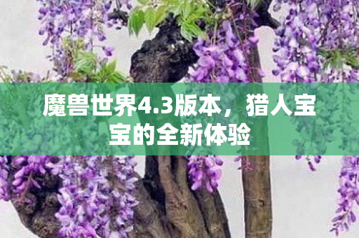 猎人宝宝的全新体验图片
